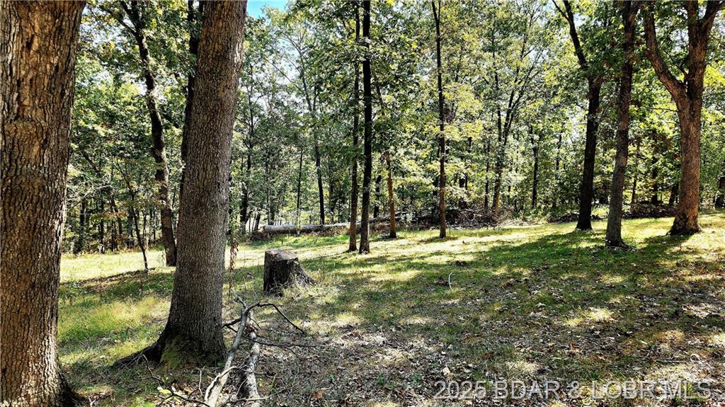 Photo 45 - Residential for sale – 20316  Wildwood Circle  Versailles, MO