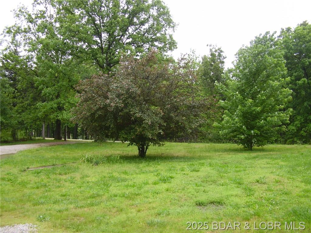 Photo 21 - Residential for sale – 161  State Road DD   Buffalo, MO