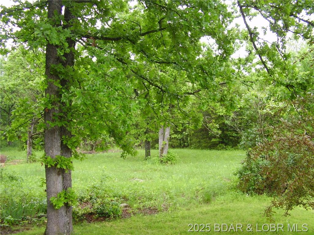 Photo 25 - Residential for sale – 161  State Road DD   Buffalo, MO