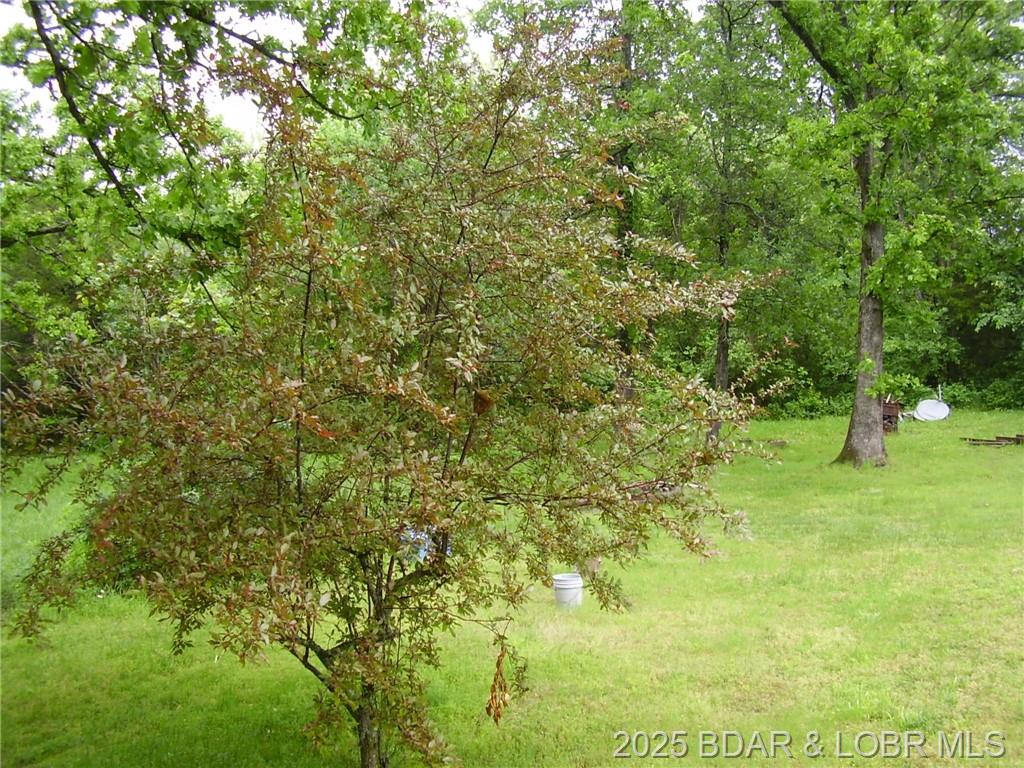 Photo 26 - Residential for sale – 161  State Road DD   Buffalo, MO