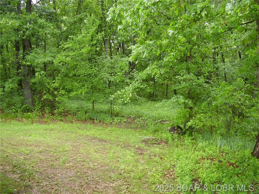 Photo 27 - Residential for sale – 161  State Road DD   Buffalo, MO