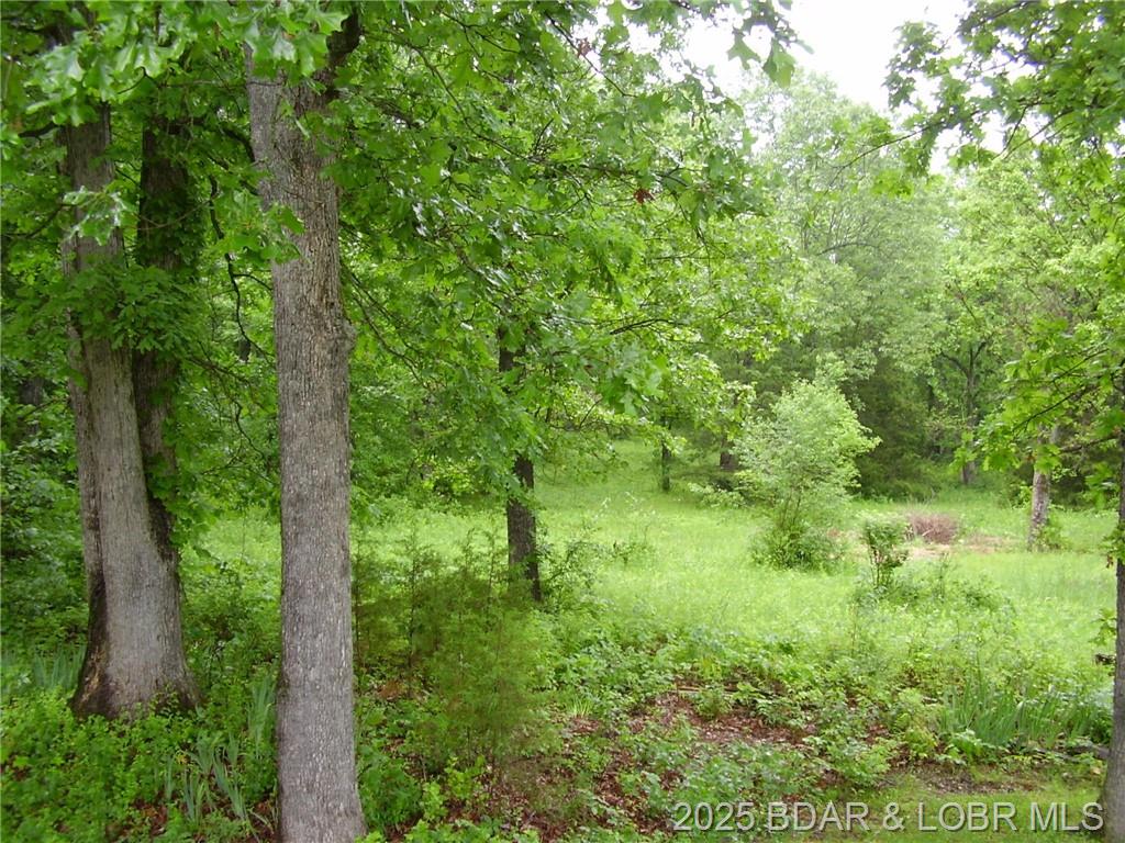 Photo 28 - Residential for sale – 161  State Road DD   Buffalo, MO